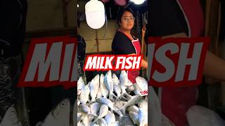 Milk Fish in The Philippines 🇵🇭 #costoflivinginthephilippines #onlyinthephilippines #philippines