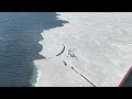 penguin makes it onto land as ice breaks