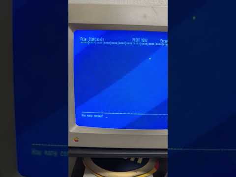 Did Apple use floppy disks?