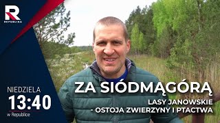 Lasy Janowskie - ostoja zwierzyny i ptactwa | Za Siódmą Górą