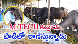 Young Engineer Shiva Rama Krishna's progressive Dairy in Gudipudi డెయిరీ రంగంలో యువరైతు 88855 90090