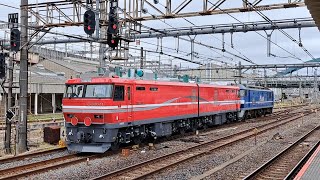 単8253レEF210-113[岡]牽引EH800-11[五稜]OM出場。大宮駅11番線推進運転で入線