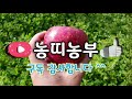 농사 못 짓는 농튜버도 있습니다 초당옥수수 밭 비닐 벗기기 feat.그린웍스 40v 충전예초기