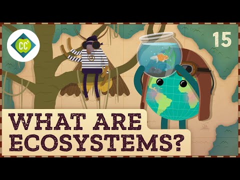 What are ecosystems? Crash course in geography #15