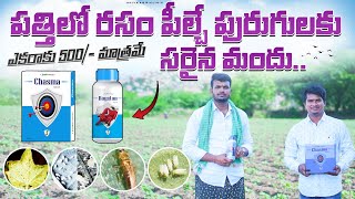 పత్తిలో రసం పీల్చే పురుగుల నివారణ | Cotton Sucking Pests Control Insecticides | Shiva Agri Clinic