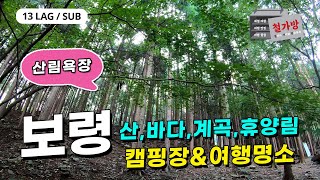 [13 Languages/SUB]충청남도 보령시 바다, 산, 계곡+여행 배달[성주산, 오서산, 자연휴양림, 편백나무숲, 심연동계곡, 오천항, 대천해수욕장] [Episode#55]