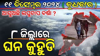 ଡିସେମ୍ବର ୧୧ ବୁଧବାର || ଆସୁଅଛି ଲଘୁଚାପ ବର୍ଷା || ୮ ଜିଲ୍ଲାରେ ଘନ କୁହୁଡି || OGN ODIA