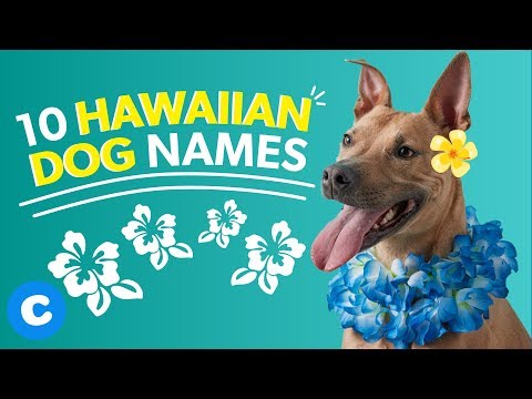 How do you say dog in Hawaiian?