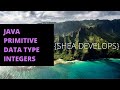 Beginner Java Tutorial on Integer Primitive Data Types