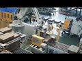 kawasaki cp130l robot carton palletizing