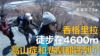 奧菠去旅行｜EP5今日沒馬的悲劇，徒步到海拔4600m！稻城亞丁～防疫在家重新回顧