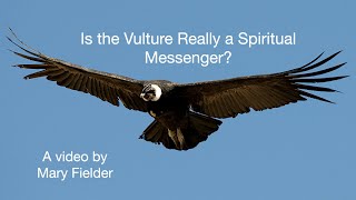 Is the Vulture Really a Spiritual Messenger?