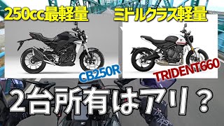 【CB250R／トライデント660】250ccとミドルクラスの軽量バイクを比較し、2台所有するかを考えてみる【地元ツーリング#18その辺編】モトブログ