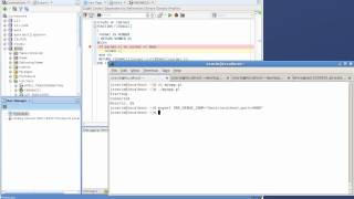 Remote Debugging a Perl Script
