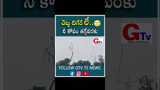 చెట్టు దిగేదే లే నీ కోపం తగ్గేవరకు # GTV TS.