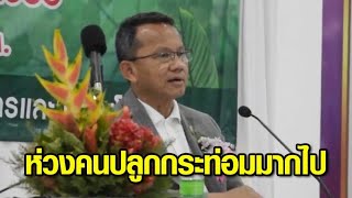 'สมศักดิ์' ห่วงคนไทย แห่กันปลูกกระท่อม อีก 1-2 ปี อาจล้นตลาด