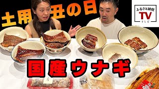 【ふるさと納税TV】ふるさと納税グルメ：ふるさとチョイスで人気のうなぎを食べ比べてみた！