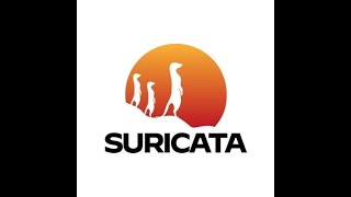 Writing Custom Suricata Rules