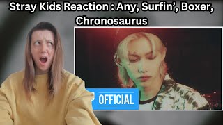 Stray Kids Reaction : Any, Surfin, Boxer, Chronosaurus