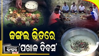 ଜଙ୍ଗଲ ଭିତରେ ପାଳନ ହେଉଛି ‘ପଖାଳ ଦିବସ’