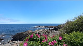 Walk Along Marginal Way, Ogunquit, Maine