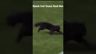Black cat is a football player . Meme