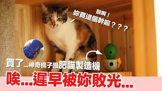 肥貓製造機！亂買奇怪的貓物開箱【好味貓開箱】EP11