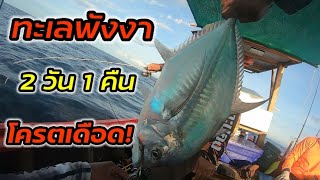 ตกปลาทะเลพังงา 2วัน1คืน เจอฝูงปลากระมงถล่มยับ! #ตกปลา #บ้าตกปลา #ตกปลาทะเล #ตกปลาหน้าดิน #ไมโครจิ๊ก