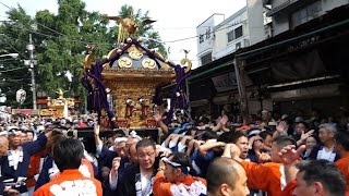 宮元渡御　波除稲荷神社千貫宮神輿と水神社大神輿