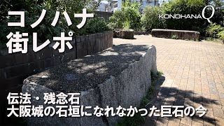 コノハナ　街レポ「伝法・残念石」大阪城の石垣になれなかった巨石の今＿隠れたパワースポット？