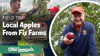 Stew Visits Our Local Apple Farmers | #Shorts