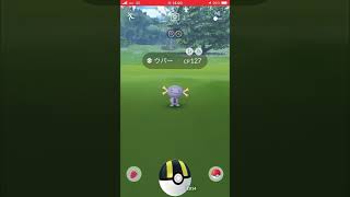 【開始0分】速攻色違い【ウパーコミュデイ】#ポケモンgo