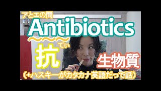 抗生物質を英語で｜英語発音チューニング体操　Day270【生配信】