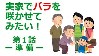 実家でバラが咲くのを見てみたい ～第一話～