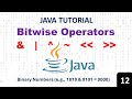 Java Bitwise Operators | AND, OR, XOR, NOT, Shift Operations | Java Programming Tutorial