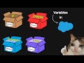 (2025) Variables in Apex | Salesforce Development with hands-on practice