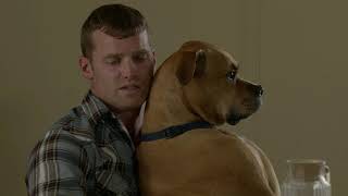 Letterkenny  - Wayne's Dog Reacting to Sick Dary