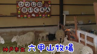 【観光】六甲山牧場　大自然で動物たちと戯れる