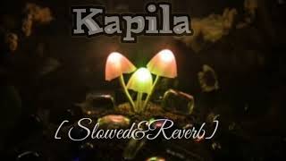 KAPILA - Jack [Slowed &Reverb] New Song #lofimusic