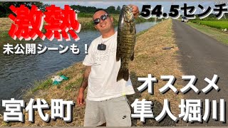 【埼玉バス釣りポイント】隼人堀川でバケモノ出た！宮代町熱い！【バス釣りオススメポイント】