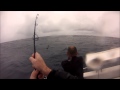 Busted Off & Spooled - Lord Howe Island