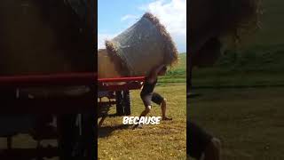 Guy manages to lift a judge hay bale