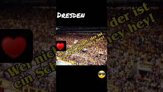 Dynamo Dresden #shorts #dynamodresden #ultras