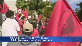 Gov. Jerry Brown Signs Farmworker Overtime Changes Into Law