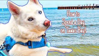 How to Spend a Day at Tawas Bay, MI