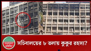 সচিবালয়ের আট তলায় কু কু র র হ স্য | Sochibaloy | Bangladesh Pratidin News