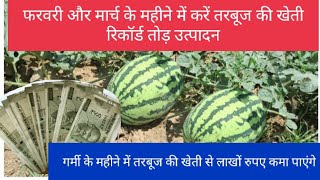 February और March में तरबूज की खेती कैसे करें | Tarbuj ki kheti | WatermelonFarming | Tarbooj फरवरी