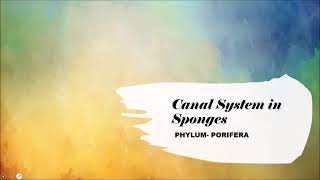 Canal system in Sponges I Phylum Porifera I English \u0026 Bengali Lecture Guide I NEET Biology I