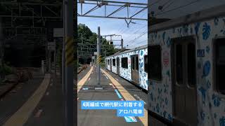 4両編成で網代駅に到着するアロハ電車　#shorts #鉄道 #jr東日本