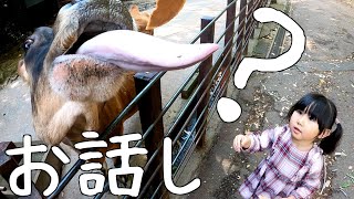 【日本帰国】動物園でお喋りする娘に思わずほっこり【フィリピン国際結婚】